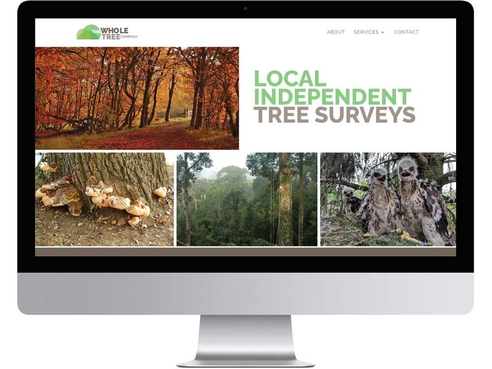 Modern WordPress web design for tree surveying business in North Oxford, servicing Banbury, Abingdon, Bicester, Didcot, Witney and the surrounding areas.