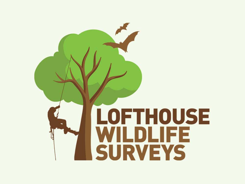 logo for an Oxfordshire wildlife surveyor and tree surgeon